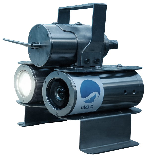 monitoraggio subacqueo