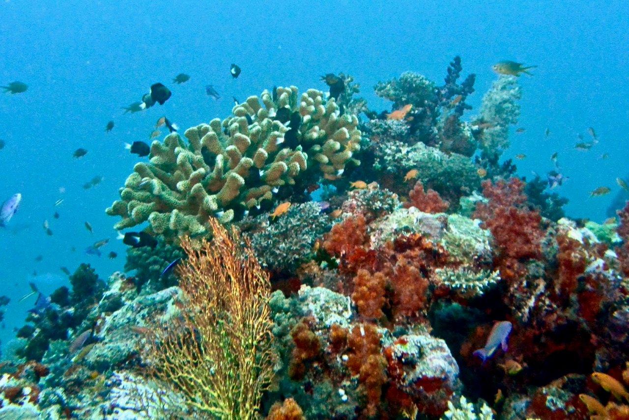 monitoraggio aree marine protette