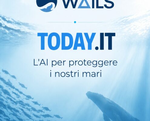 WAILS su Today.it