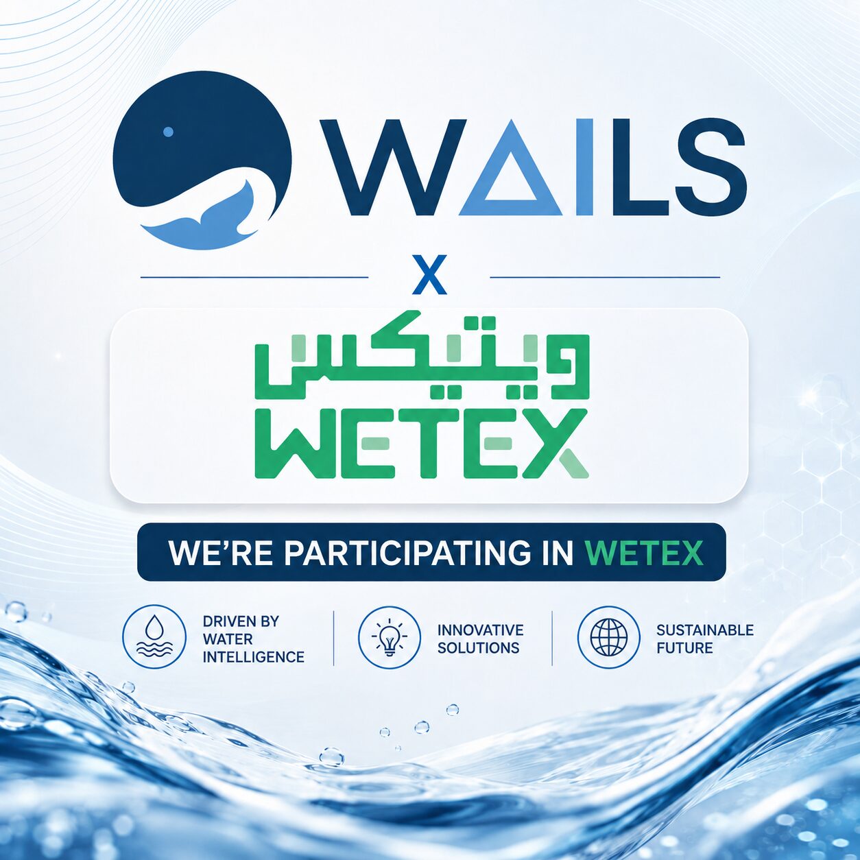 Wails-Wetex Wails al wetex 2026