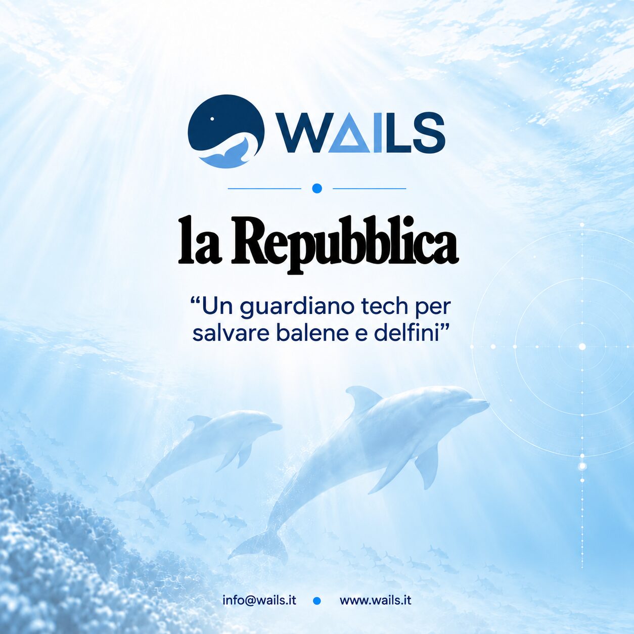 Protezione cetacei Protezione cetacei