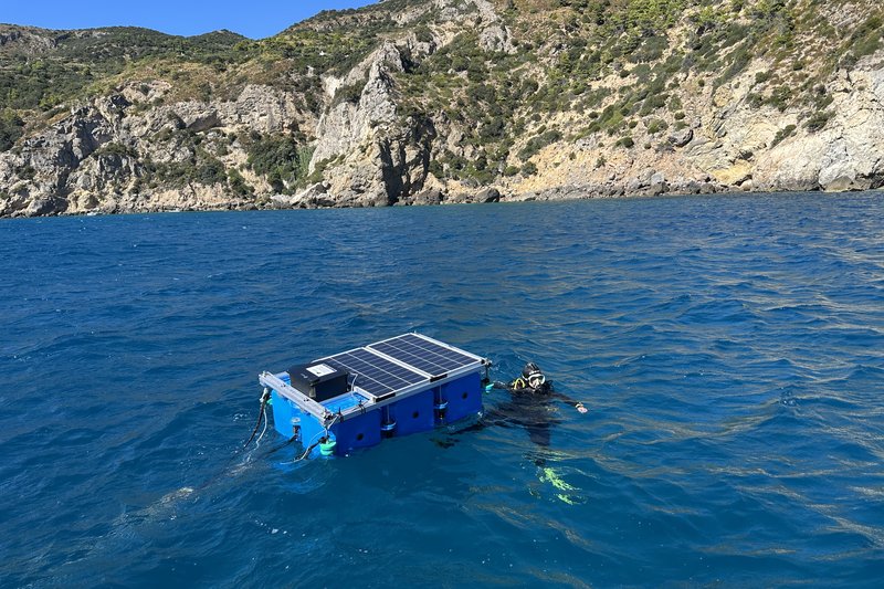 Boa scientifica Argentario Boa scientifica Argentario: la boa WAILS posizionata in mare dai sub davanti alla costa