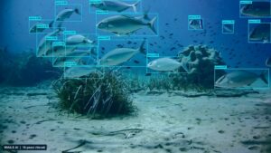 Fototrappola subacquea con riconoscimento automatico dei pesci tramite intelligenza artificiale WAILS