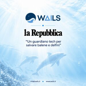 WAILS in Repubblica Green&Blue WAILS in Repubblica Green&Blue