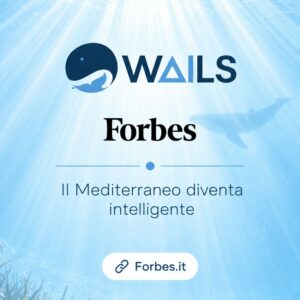 WAILS en Forbes Italia