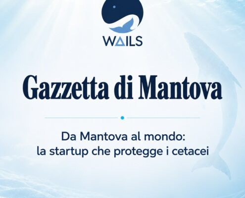 WAILS dans la Gazzetta di Mantova