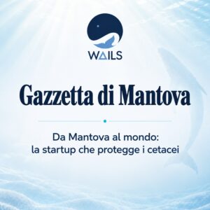 WAILS sulla Gazzetta di Mantova WAILS sulla Gazzetta di Mantova