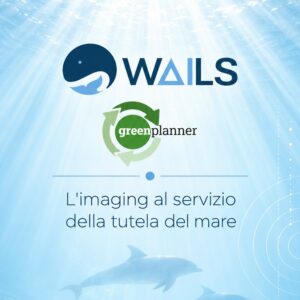 WAILS su Greenplanner