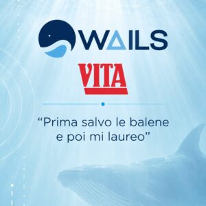 WAILS en Vita