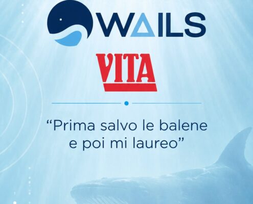WAILS في Vita